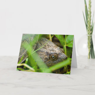 Carte Funny snapping turtle belated birthday card