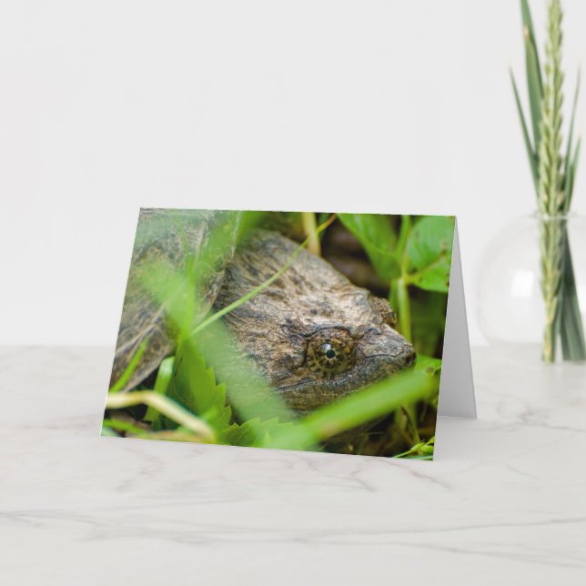 Carte Funny snapping turtle belated birthday card (Devant)