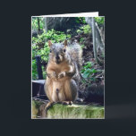 Carte Funny Squirrel Deez Nuts Texte personnalisé Annive<br><div class="desc">Customisez cette drôle de carte d'anniversaire ou laissez-la comme... DEEZ NUTS! Un écureuil hilarant joue avec des mots qui plaisantent sur ses noix. Humour brut pour une occasion adulte. Faites rire vos amis avec cette citation pop culture.</div>