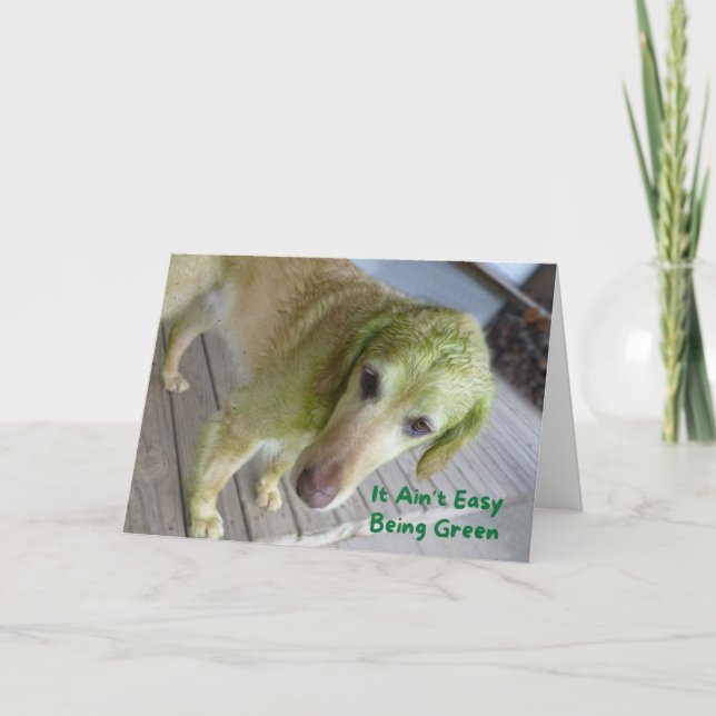 Carte Funny St. Patricks Green Golden Retriever Card (Devant)
