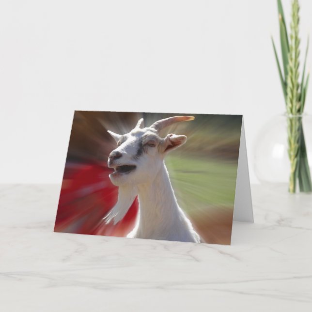 Carte Funny Tallking Goat Photograph (Devant)