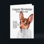 Carte Funny Toy Fox Terrier Birthday<br><div class="desc">This funny birthday card isn't JUST for Toy Fox Terrier lovers.</div>