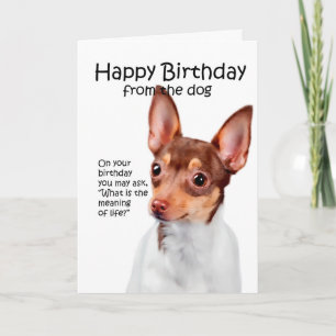 Carte Funny Toy Fox Terrier Birthday