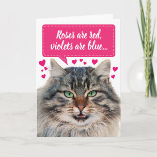 Carte Funny Valentine's Day Maine Coon Chat personnalisa