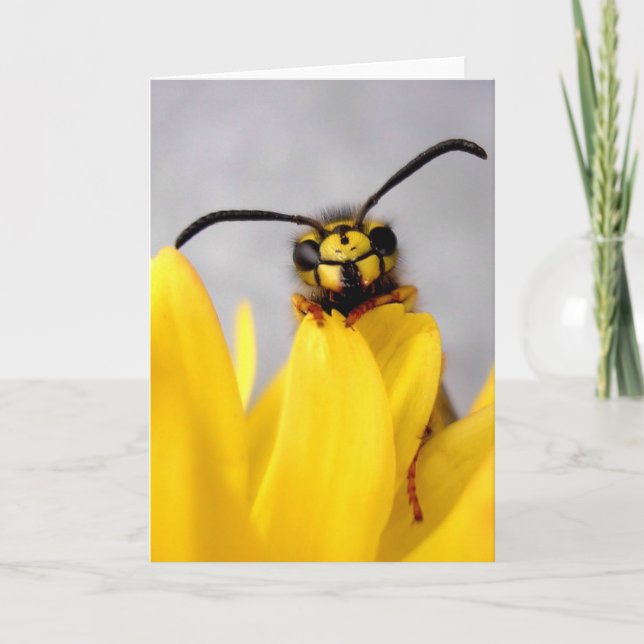 Carte Funny Wasp Greeting Card (Devant)