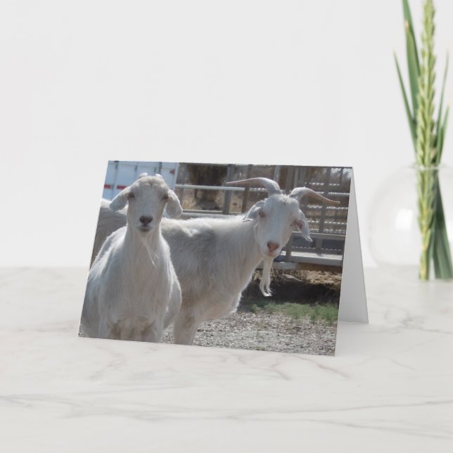 Carte Funny Western (Devant)