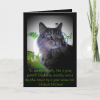 furball enflammé - Mickael McGarel citation
