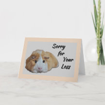 Furry Little Guinea Pig Tan Désolé pour votre pert