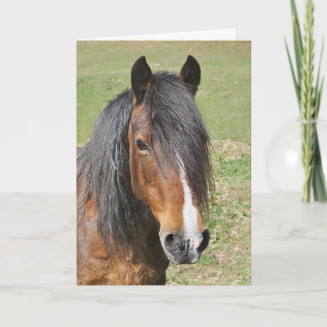 Carte Gallois, section D anniversaire (Devant)