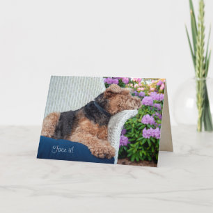 Carte Gallois Terrier sur l'anniversaire de chaise en