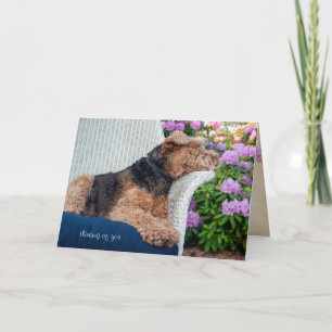 Carte Gallois Terrier sur l'anniversaire de chaise en