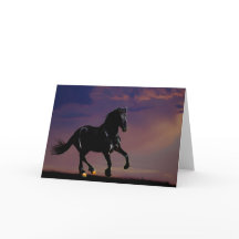 Galopage de chevaux gratuit