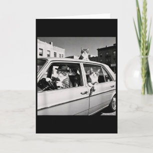 Carte Gang de Chat Drôle Design Félin Rétro Cool 