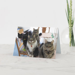 Carte Gang Get Well Card