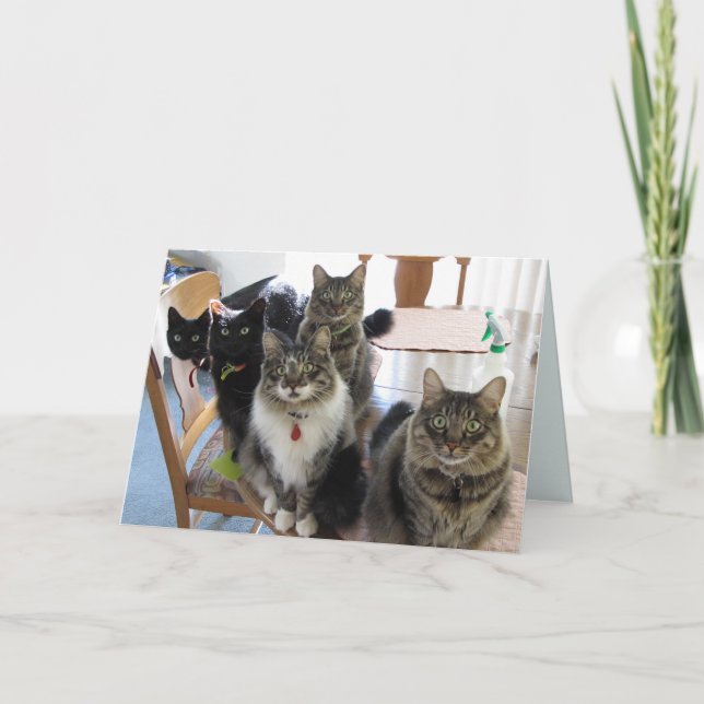 Carte Gang Get Well Card (Devant)