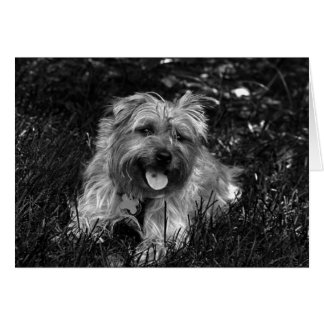 Carte garçon heureuse