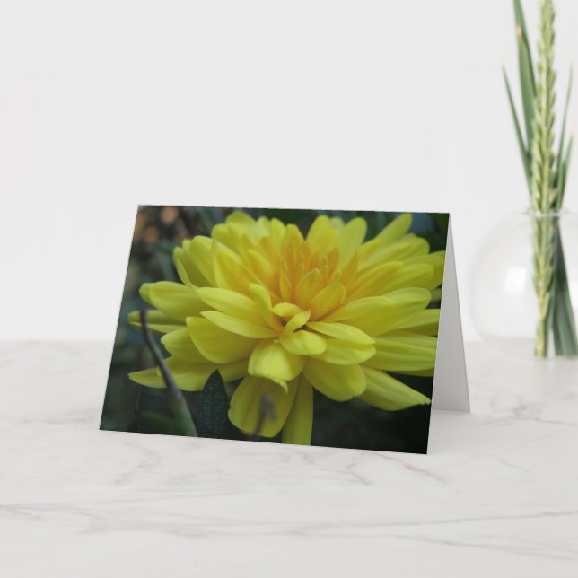 Carte Garden Mum "Get well soon!" Card (Devant)