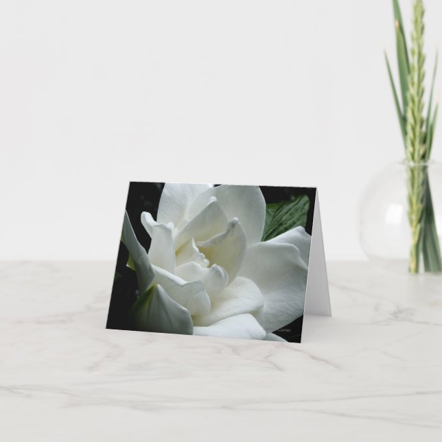 Carte Gardénia (Devant)