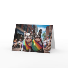 Gay pride Boston Terriers