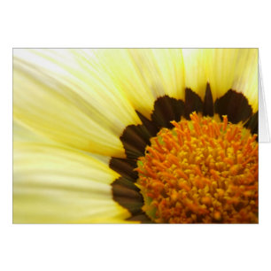 Carte Gazania