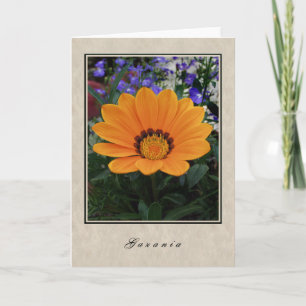 Carte Gazania - série florale