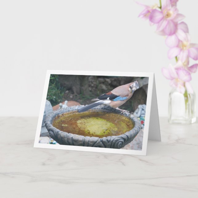 Carte Geai d'Eurasie perché sur un bain d'oiseaux (Orchidée)