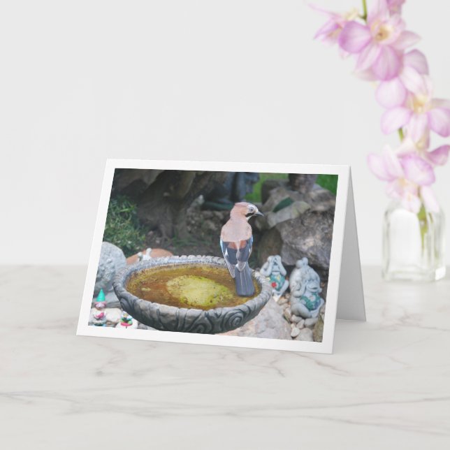 Carte Geai d'Eurasie sur bain d'oiseaux (Orchidée)