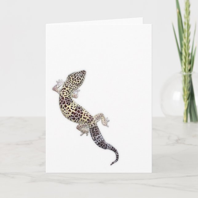 Carte Gecko Card 01 (Devant)