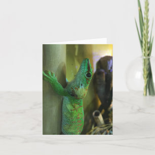 Carte gecko notecard #2 (encouragement)
