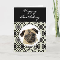 General Birthday Pug, Pet Dog
