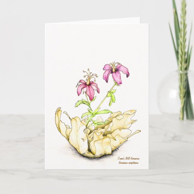 Carte Géranium aquarelle fleur sauvage intérieur vide (Devant)