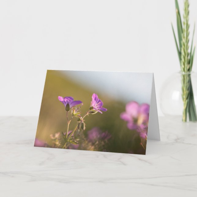 Carte Geranium Flower Nature Photo (Devant)