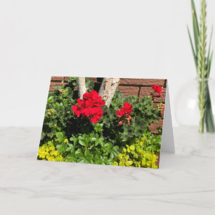 Carte Geraniums
