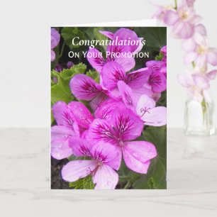 Carte Geraniums roses Félicitations pour la promotion Fl