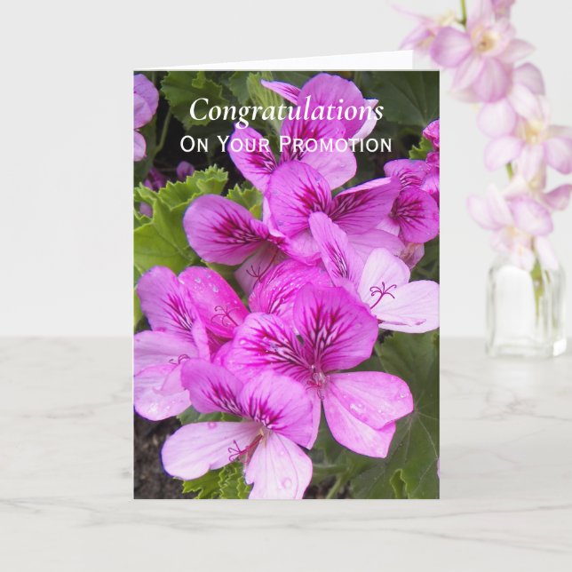 Carte Geraniums roses Félicitations pour la promotion Fl (Orchidée)