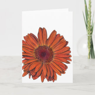 Carte Gerbera All-Occasion