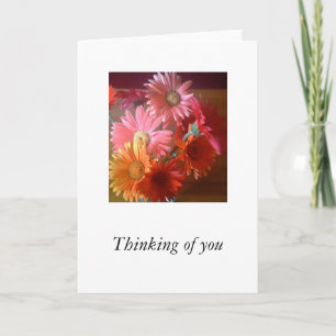Carte Gerbera Daisies