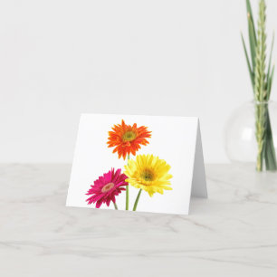Carte Gerbera Daisies