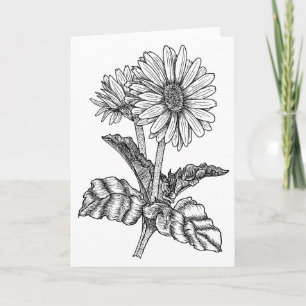 Carte Gerbera Daisy Color It Yself Blank Greeting