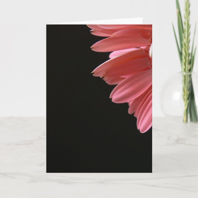 Carte Gerbera rose sur le noir (Devant)