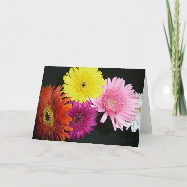 Carte Gerbiers multicolores (Devant)