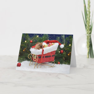 Carte Gerbil Christmas