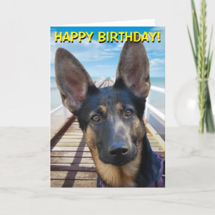 Carte German Shepherd customizable greetings card