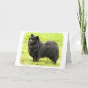 Carte German Spitz 9W014D-009