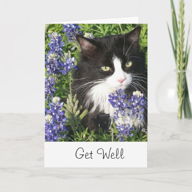 Carte Get Well Card Tuxedo Cat au Texas Bluebonnet (Devant)