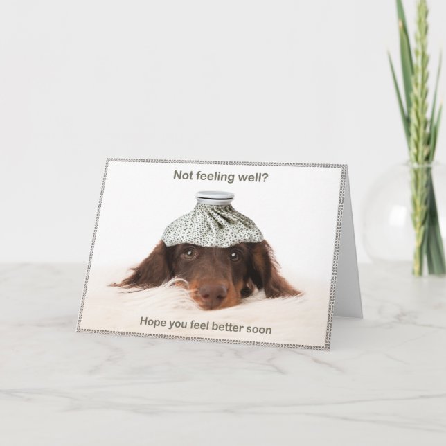 Carte Get well card with a dachshund hound dog (Devant)