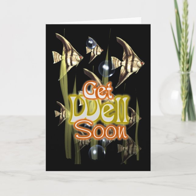 Carte Get well soon Angelfish (Devant)