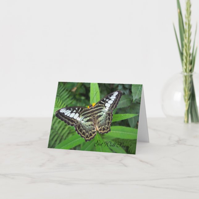 Carte Get Well Soon Butterfly (Devant)