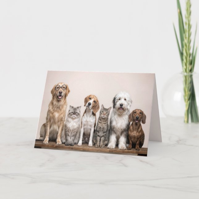 Carte Get Well Soon Dogs and Cats  (Devant)