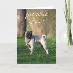 Carte Get well soon pug in the park greeting card